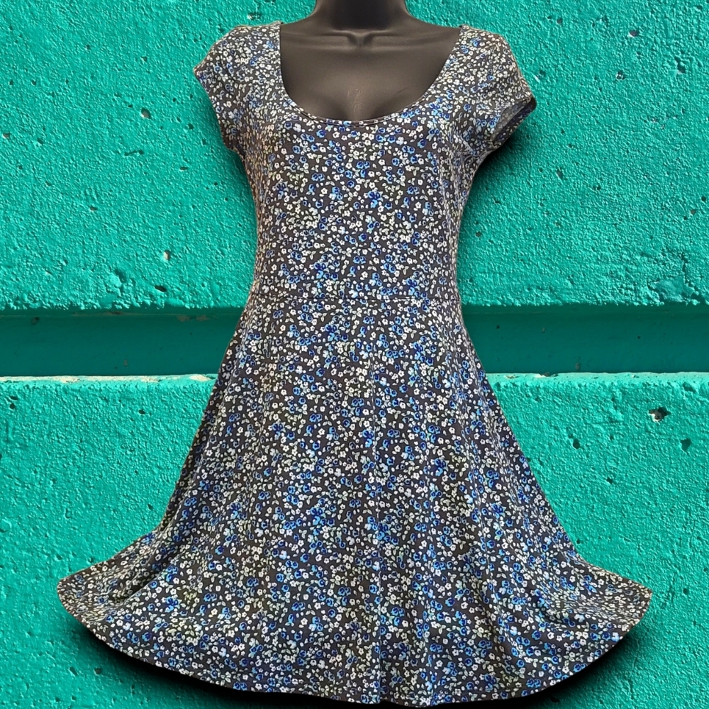 American Eagle Outfitters Cotton Stretch Floral Skater Dress Size Small